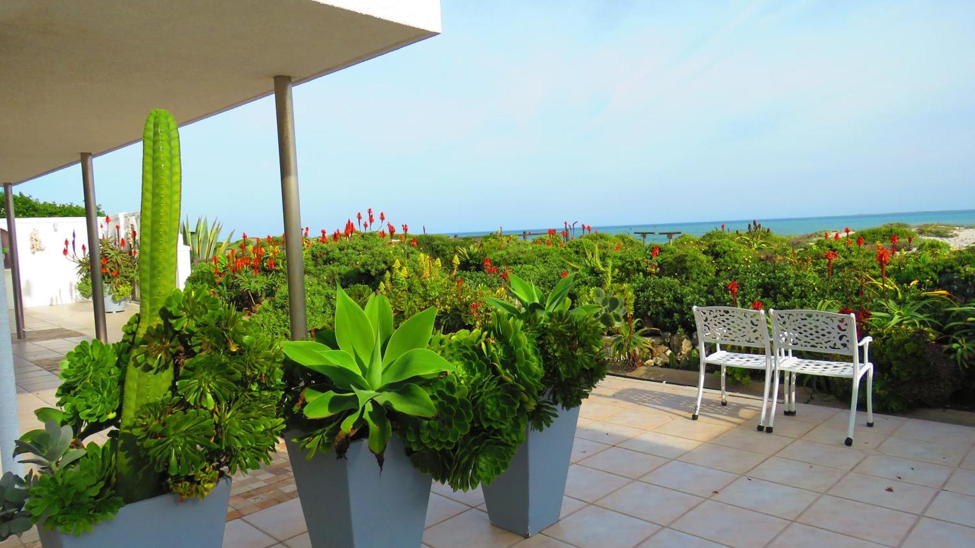 On The Beach Apartments Yzerfontein Exterior photo